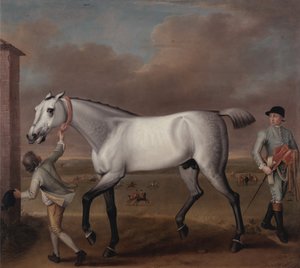在Newmarket的Duke of Hamiltons Grey Racehorse，Victorious 作者 约翰·伍顿